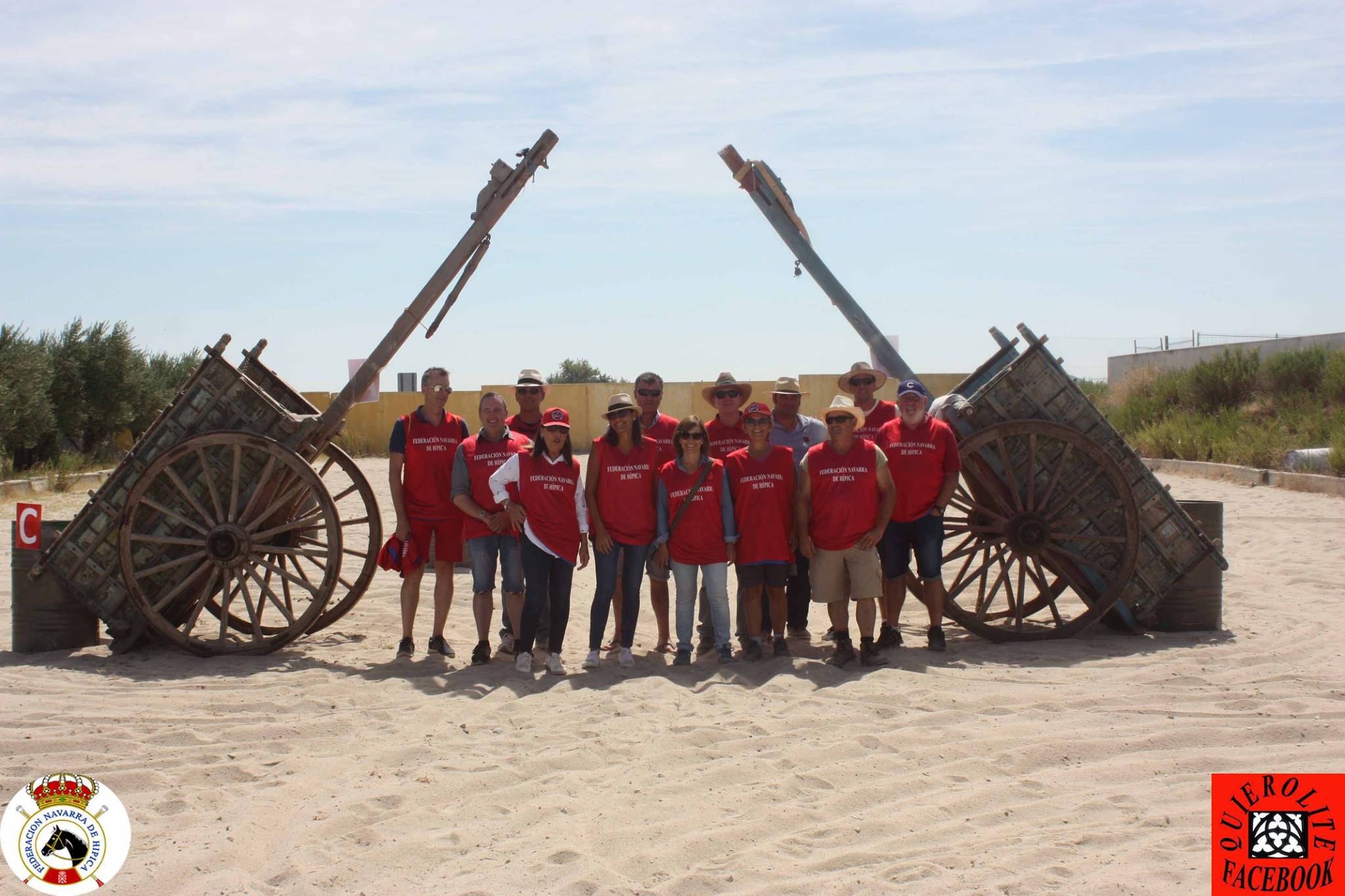 Olite acogió el Campeonato Navarro de Enganches